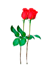 redr2